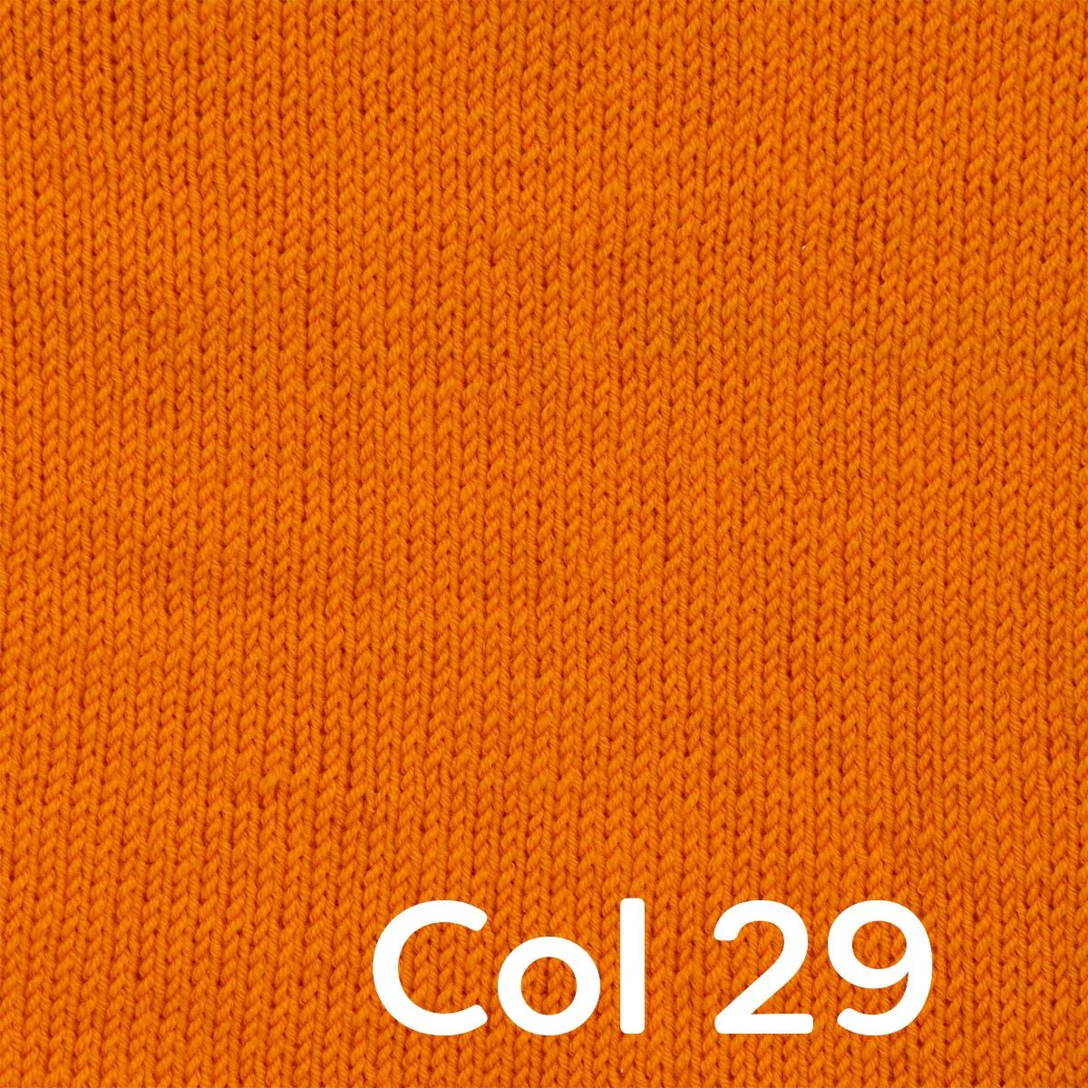 Image du produit 13